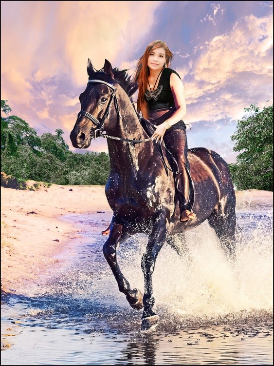 Horst Pfrommer, Calw, Altburg, Spindlershof, Horse