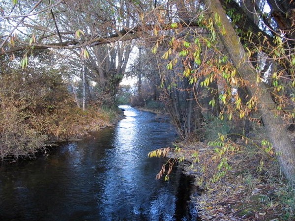 Fall in the Wallowas
