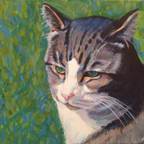 Cats Eyes