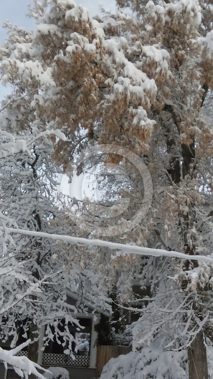 Hanging by a Wire