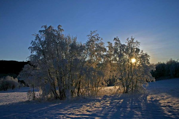 Cold winter III