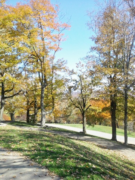 The Wonder of Fall