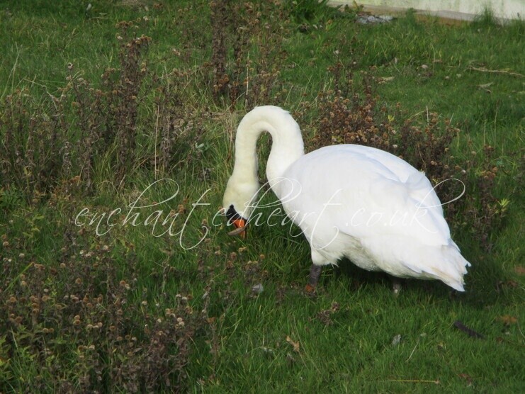 I Know I Left it Here Somewhere