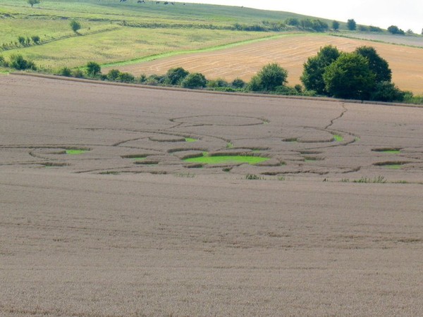 mystery crop circles #1