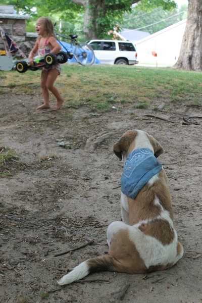 Wanna Play