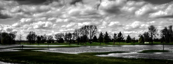 Flooded B&W