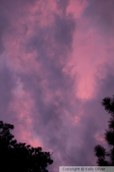 Pink Sky!