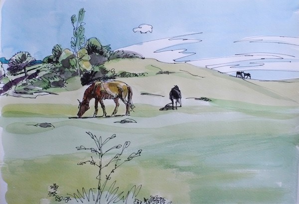 spring and horses