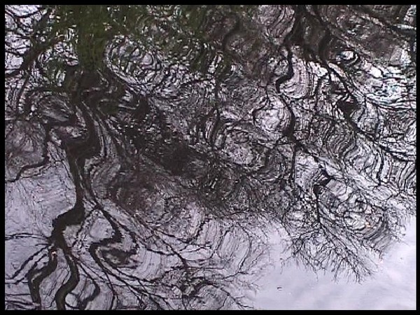 Tiergarten reflection