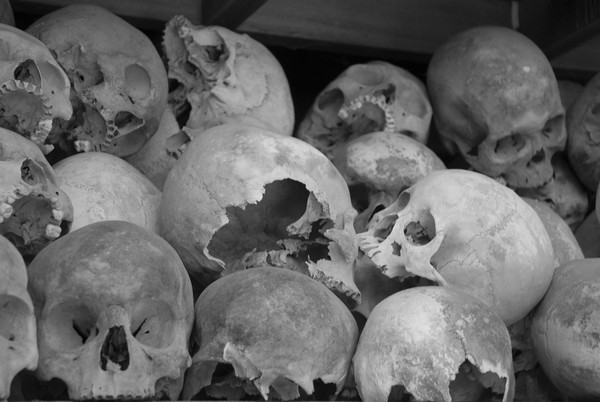 The Killing Filds