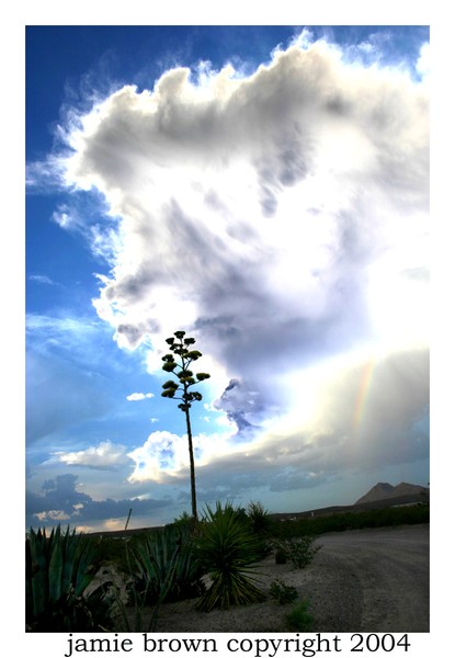 Storm Clouds