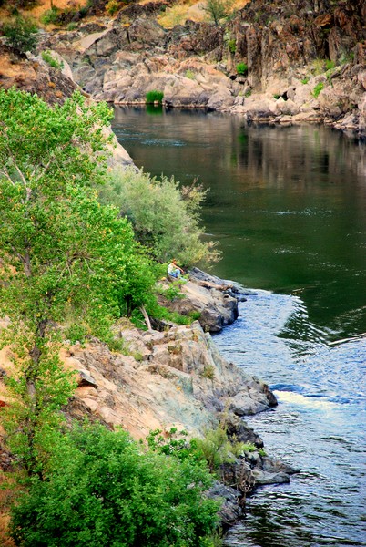 Peace Spot