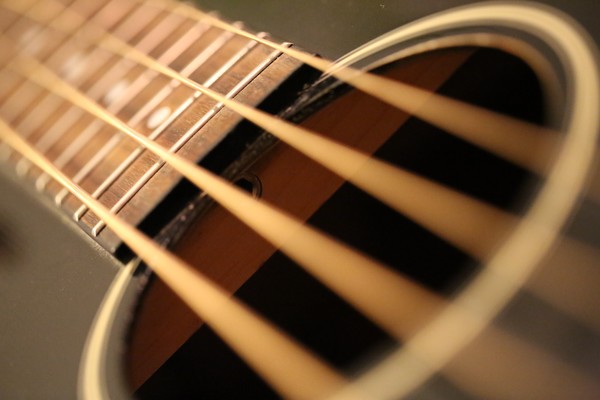 Bass Guitar