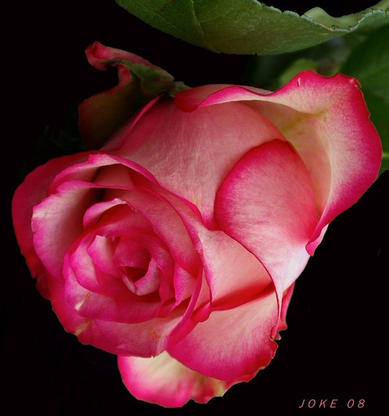 For you dear Reba and