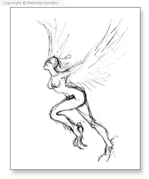 Flight of the Dreamer