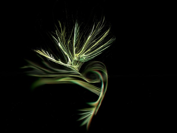 Forest Sprite