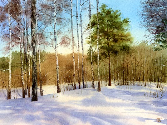 Winter day in wood