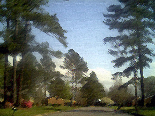 Neighborhood