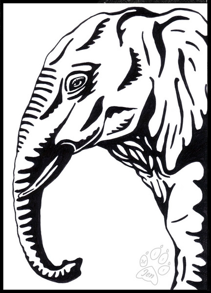 Elephant WIP