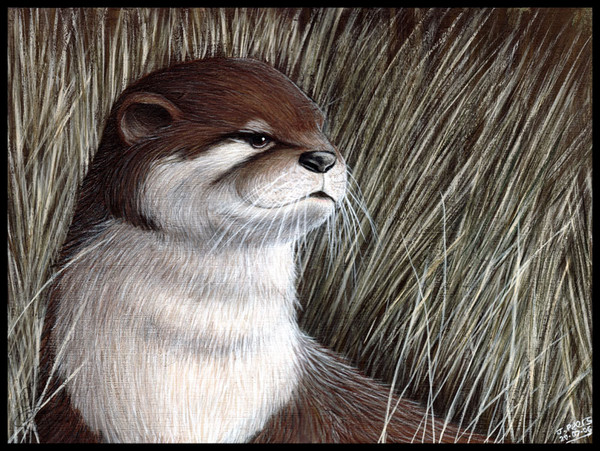 Amongst The Grass