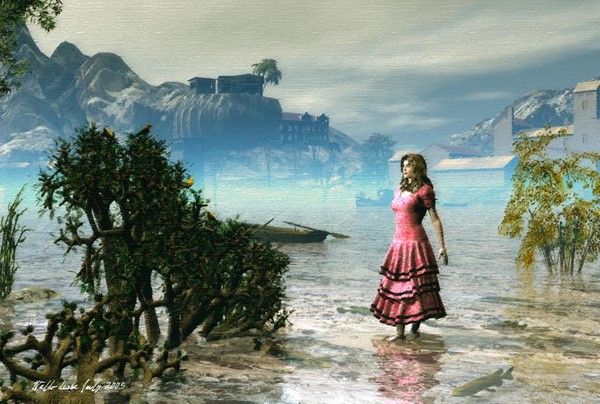 Walk The Shalow Waters