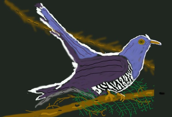 O281 Pigeon