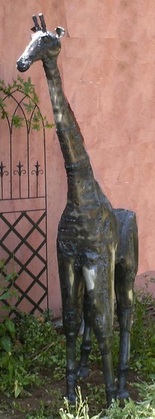Kathy's Griaffe