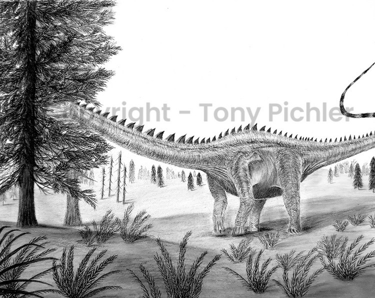 A Late Jurassic Meal