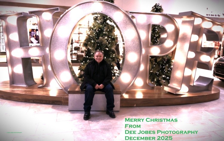 Merry Christmas from Dee Jobes Photography