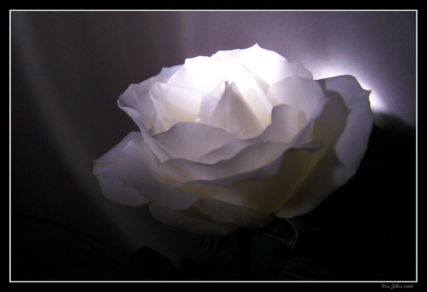 Heavenly Hope
