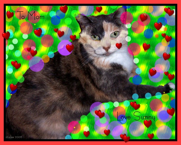 To Mom W/love, Sunny