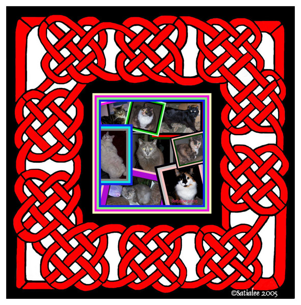 The Kitty Clan