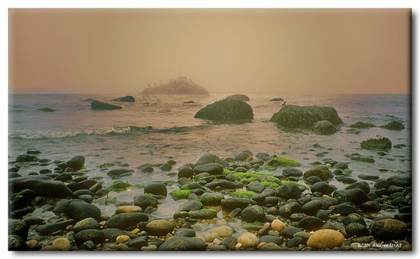 Rocky Shore