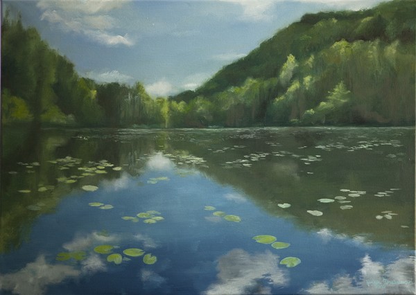 Summer on the Harasov
