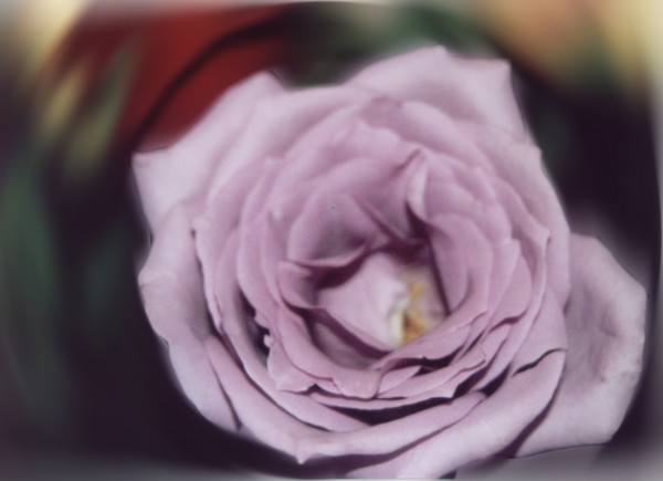 Purple Passion