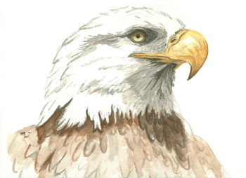 Pride of the USA