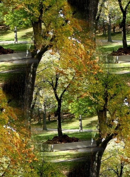 Autumn In The Park (Ten)