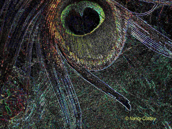 Glowing Edges Featherpaint