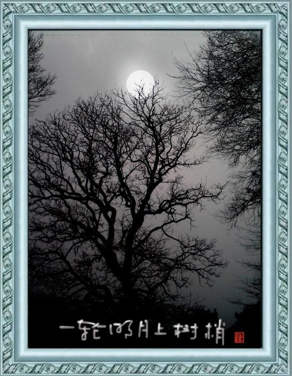 the moon behind tree twigs