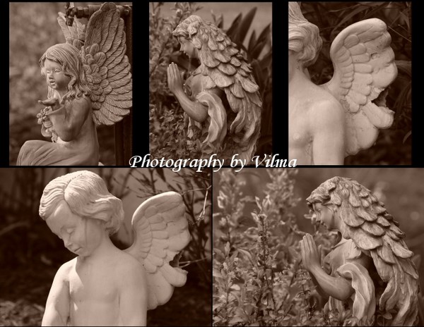 Angels Everywhere