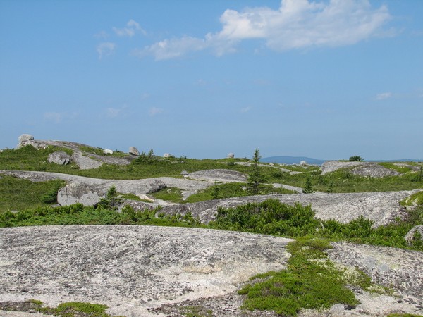 Sunny clear day at My Avalon (Polly's Cove)