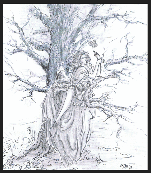 sketch(memory in a tree)