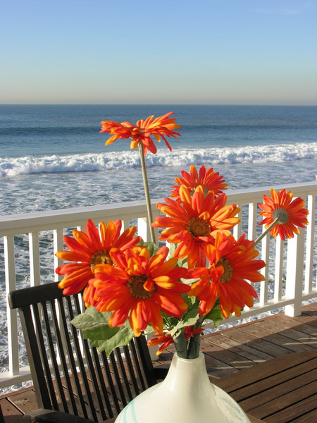 Christmas in Malibu