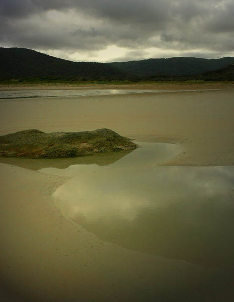 Water Hole