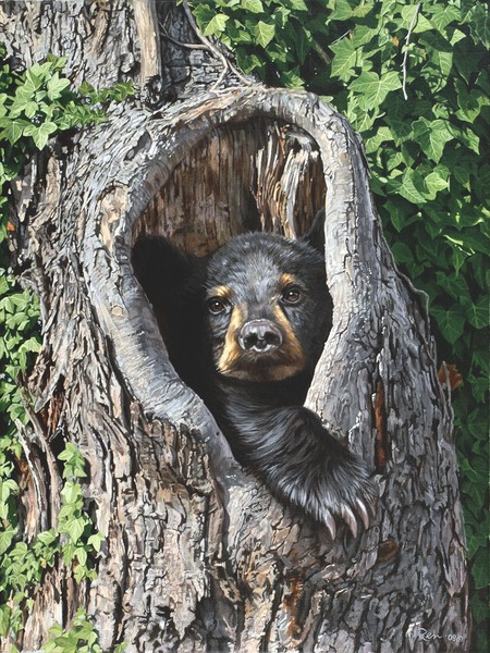 Cubby Hole