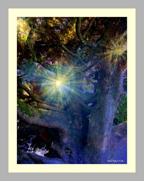  Tree Whispers in the Night