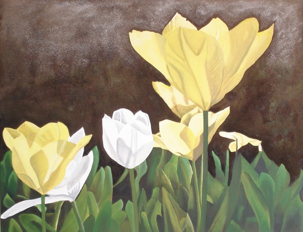 gele en witte tulpen