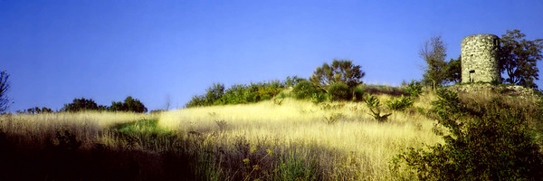 Torre