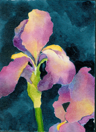 Purple Iris Egg tempera