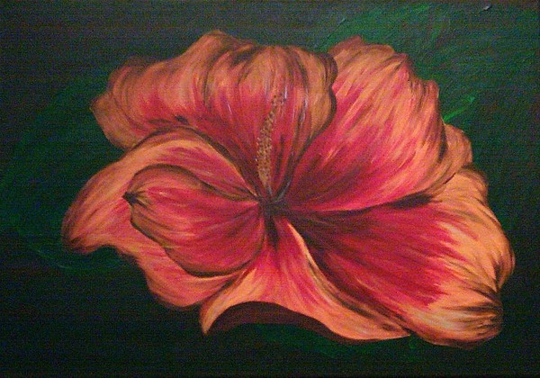 Ocak Cicek - January Flower